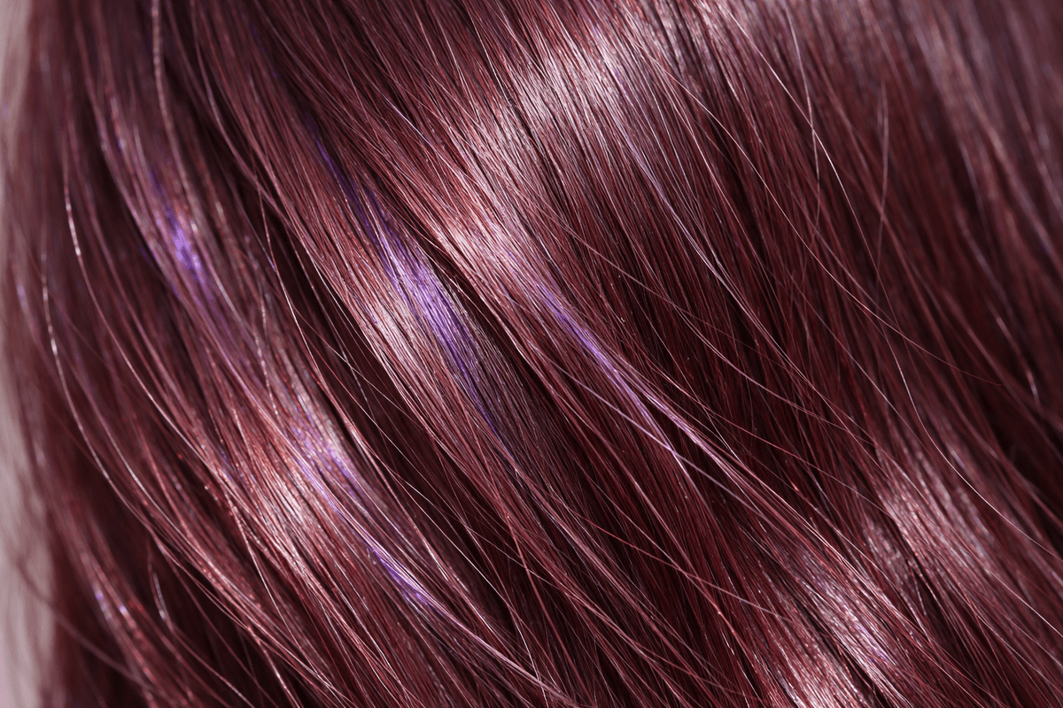 Detalhe de reflexo violeta profundo em cabelo marsala sob luz natural direta